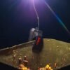 1125 Spomb Bucket Light