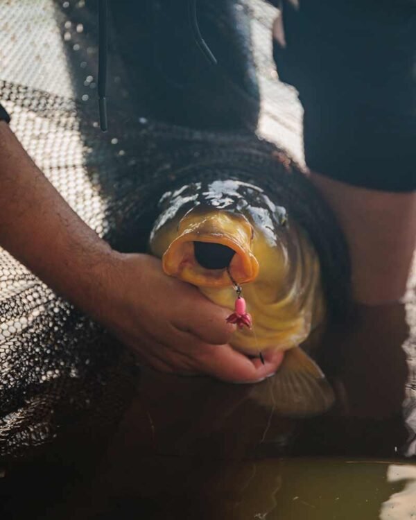 1655 Fox EDGES™ Illusion Fluoro D Rigs