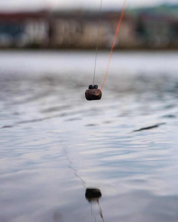 213 Fox Captive Backweight