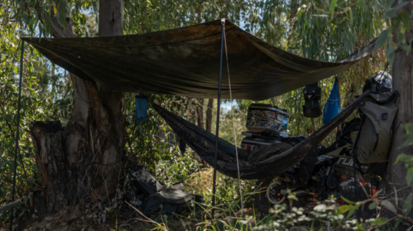 Nash Bank Life Multi Tarps Camo