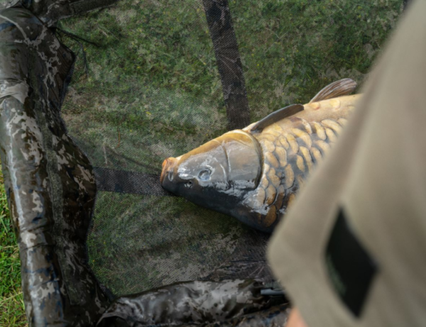 2422 Nash Hi-Protect Carp Cradles