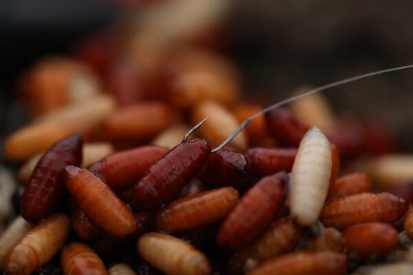 Guru Pole Special Hook (barbed/spade end)