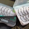 3495 Korda Kamakura Krank