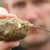 Korda Bait-up Method Feeder 50 g