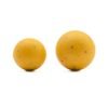 4920 Korda Slow Sinking Slow Boilie Essential Cell