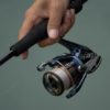 Shimano Nasci FD