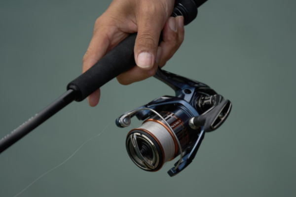Shimano Nasci FD
