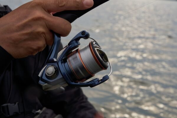 Shimano Nasci FD
