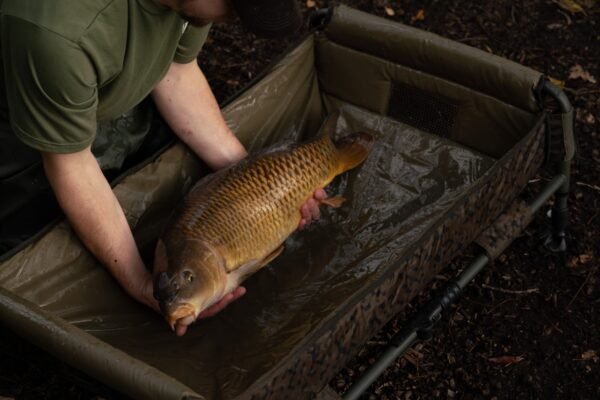 Solar SP C-Tech Quick Up Cradle