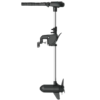 Haswing Protruar Brushless 24 V
