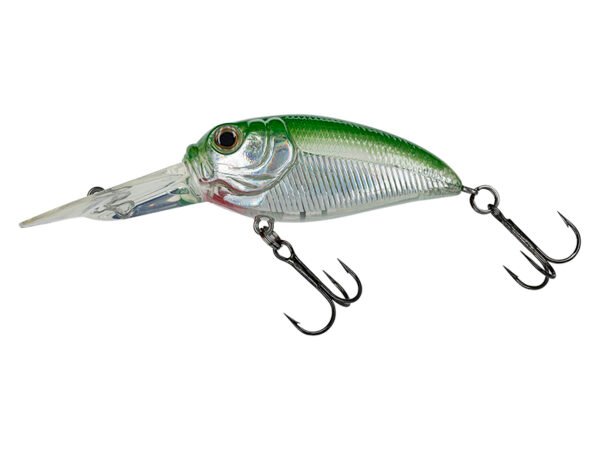 7241 Molix Sculpo DR Rattlin'