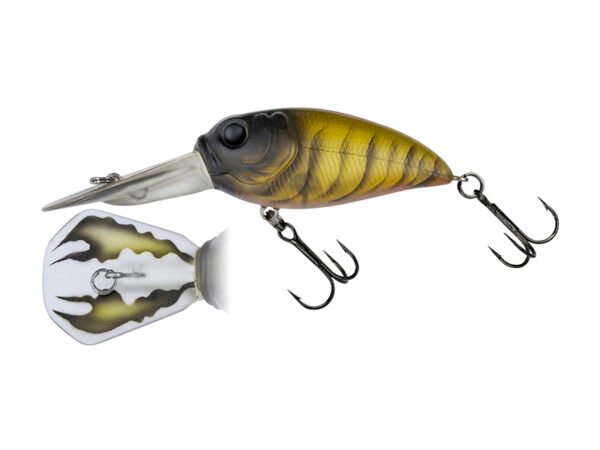 Molix Sculpo DR Silent