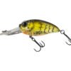 Molix Sculpo DR Silent