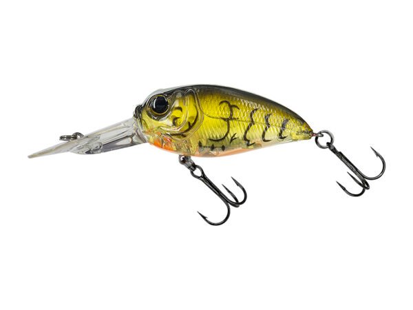 Molix Sculpo DR Silent