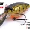 Molix Sculpo DR Silent