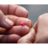Sonubaits Micro Band'ums Wafter Fluoro