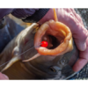 Sonubaits Band'ums Wafter Fluoro 6 mm