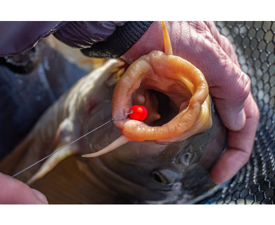 Sonubaits Band'ums Wafter Fluoro 6 mm