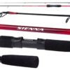 Shimano Sienna Spinning Eva