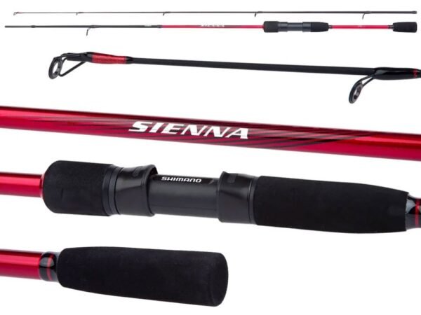 Shimano Sienna Spinning Eva