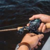 8446 Abu Garcia Beast 300