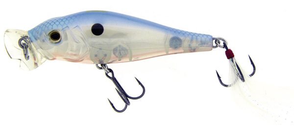 Molix Shaman Popper