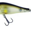 Molix Shaman Popper