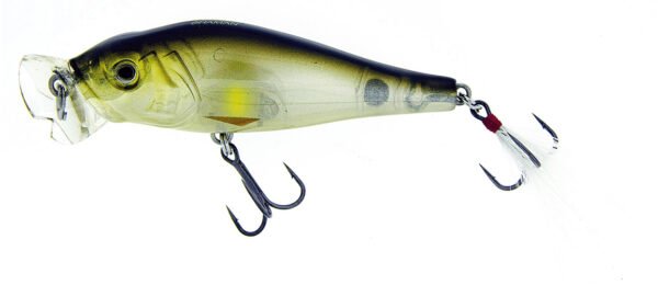 Molix Shaman Popper